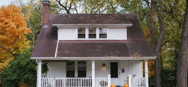 Cleaning Tips for Instantly Improving Curb Appeal Cleaning Tips for Instantly Improving Curb Appeal