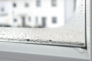 Moisture on Windows