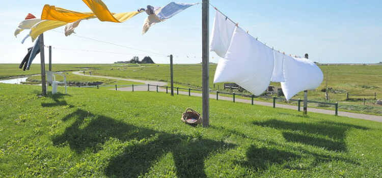 The Clothesline Conundrum: What Do They Mean for  Home Values?